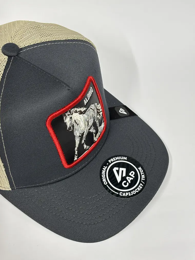 Jockey de malla 5p / Gris P x Beige - Caballo albino  4
