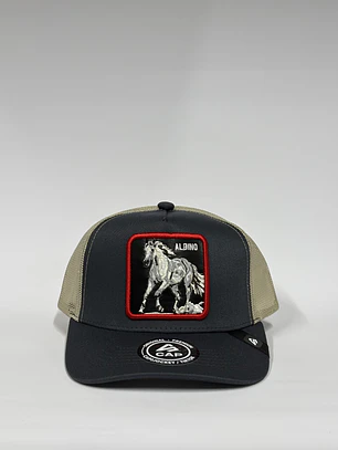 Jockey de malla 5p / Gris P x Beige - Caballo albino 