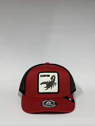 Jockey de malla 5p - Rojo x negro / Scorpion 