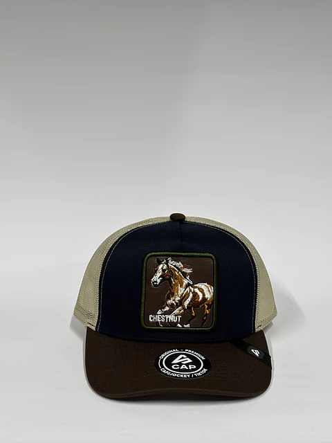Jockey de malla 5p / Beige x Azul x Marrón - Chestnut