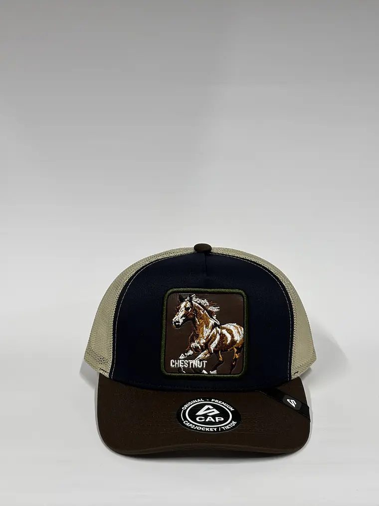 Jockey de malla 5p / Beige x Azul x Marrón - Chestnut 1