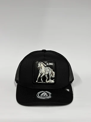 Jockey de malla 5p / Negro - Albino black 
