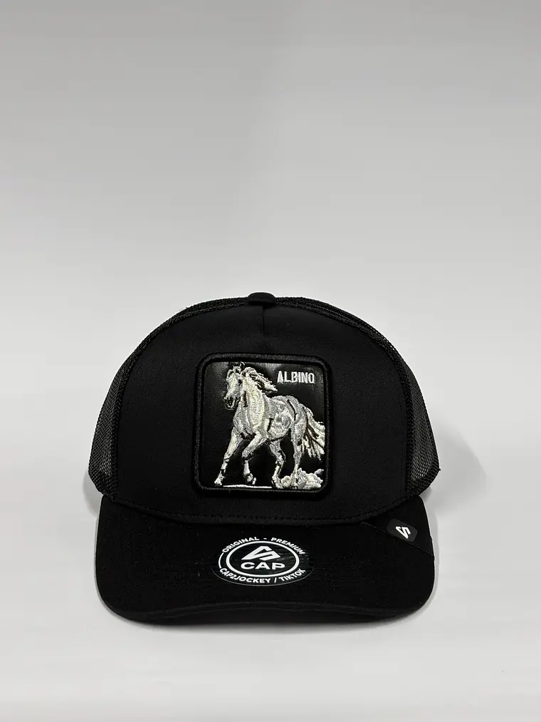 Jockey de malla 5p / Negro - Albino black  1