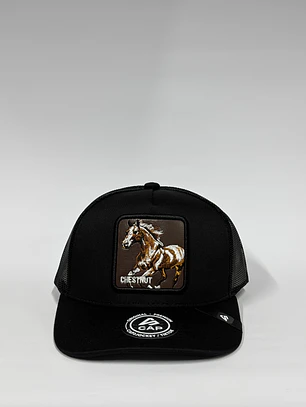Jockey de malla 5p / Negro - caballo Chestnut