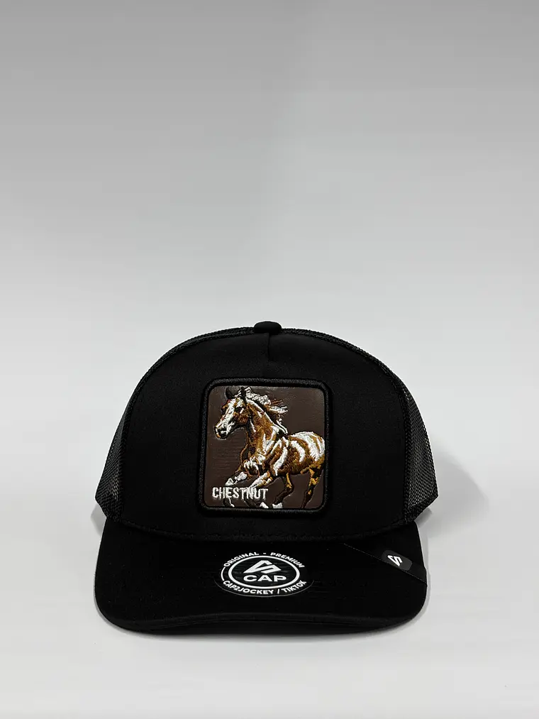 Jockey de malla 5p / Negro - caballo Chestnut 1
