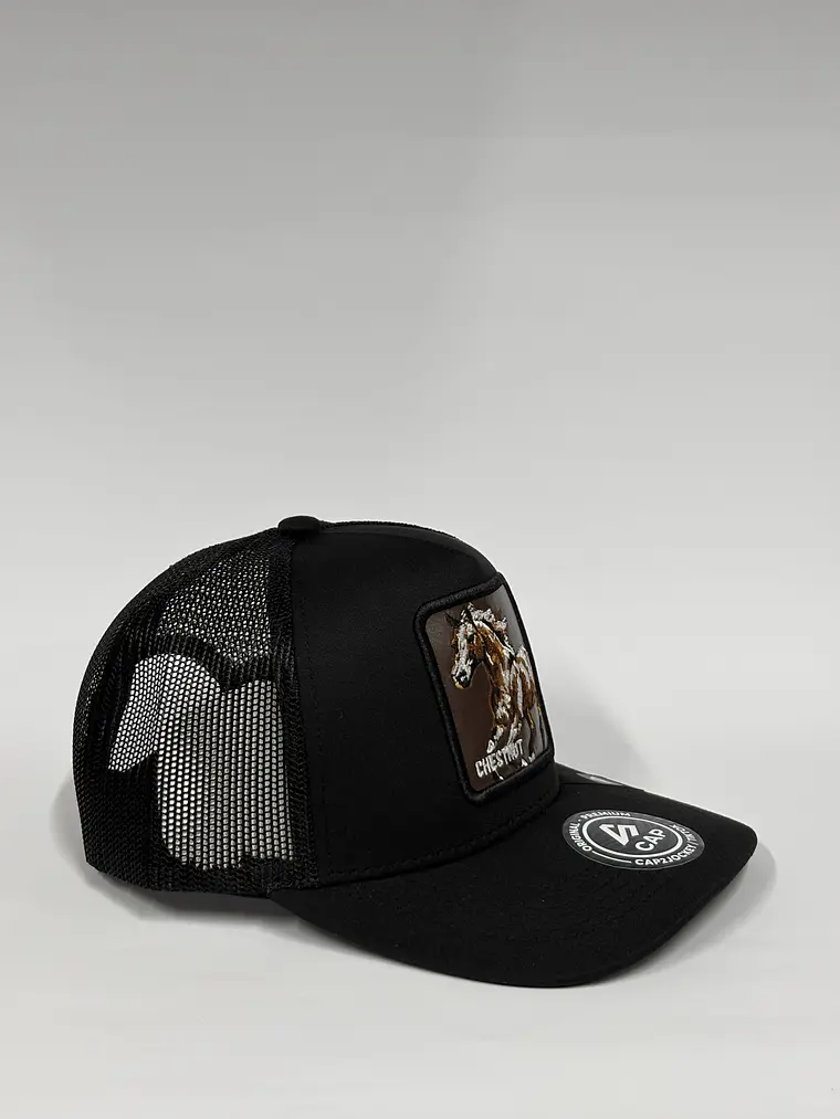 Jockey de malla 5p / Negro - caballo Chestnut 2