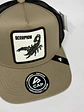 Jockey de malla 5p / Beige x negro - Scorpion 2 - Miniatura 2