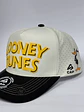 Gorra de lona 5p - Blanco x negro - Looney tunes personajes  - Miniatura 2