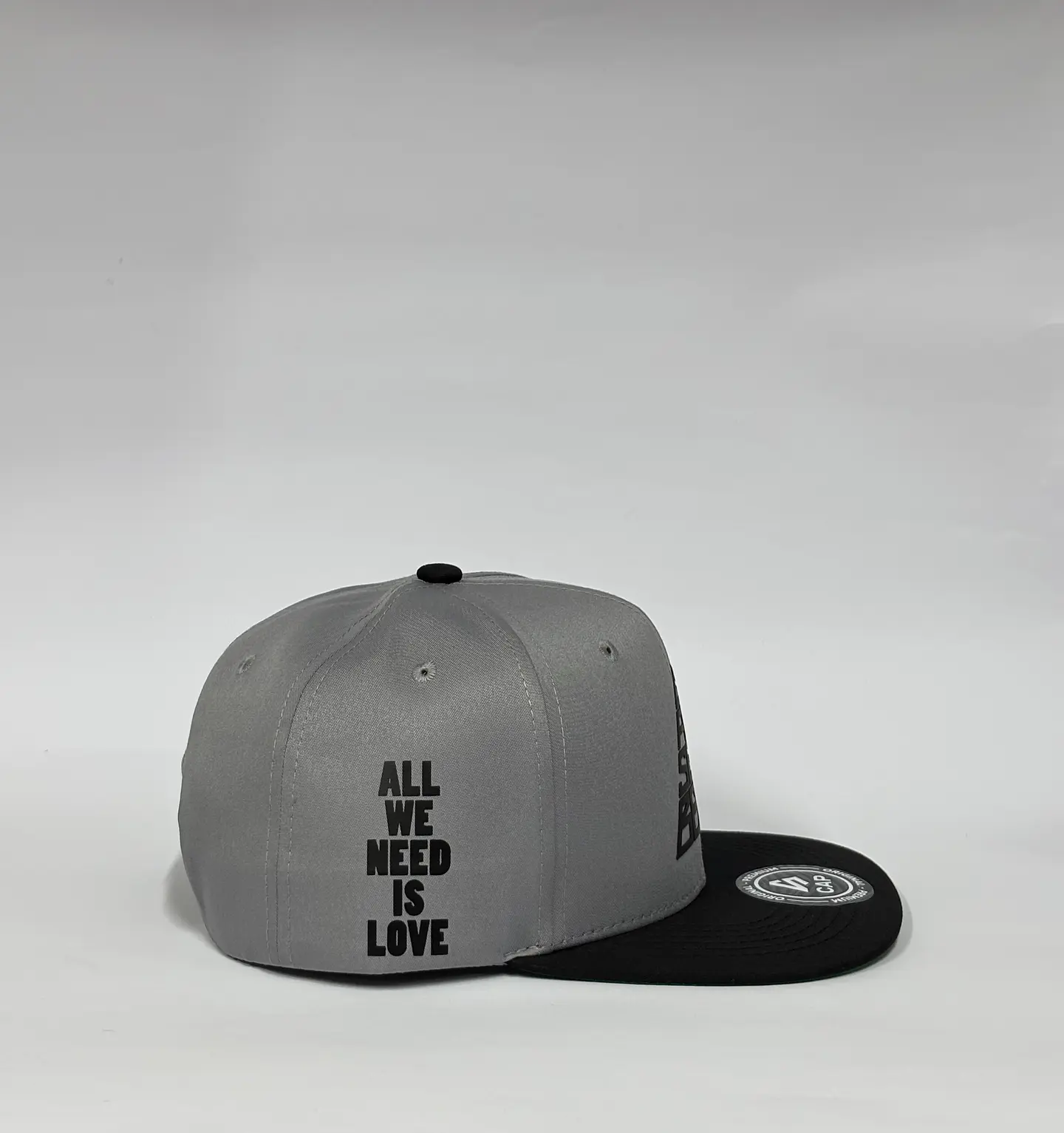 Gorra de lona 6p plana - Gris x Negro / Canserbero clasic 2