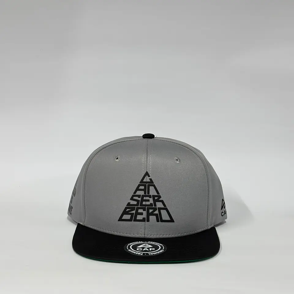 Gorra de lona 6p plana - Gris x Negro / Canserbero clasic 1