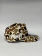 Gorra de lona 5p - Camuflaje Beige / Punisher  - Miniatura 5