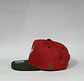 Gorra de lona 5p - Rojo x Verde / Chicago Bull  - Miniatura 5