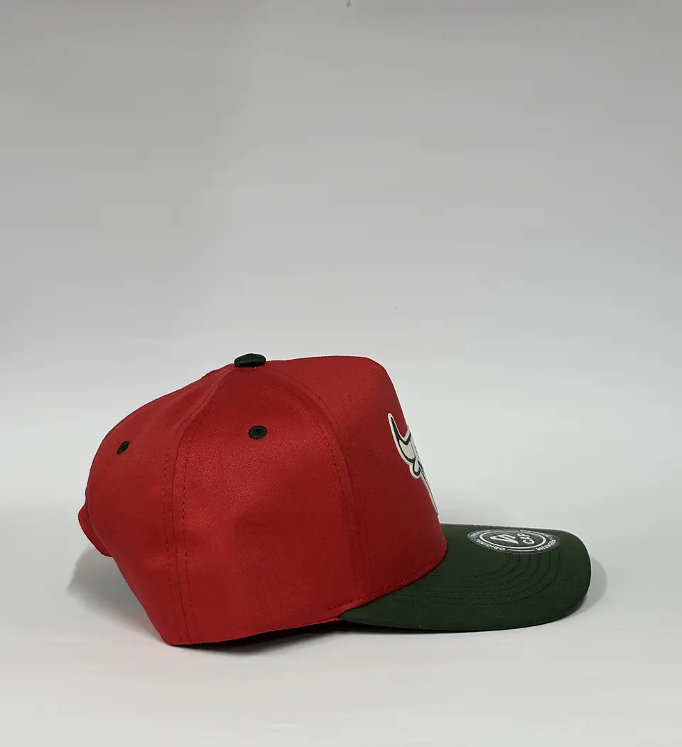 Gorra de lona 5p - Rojo x Verde / Chicago Bull  3