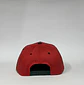Gorra de lona 5p - Rojo x Verde / Chicago Bull  - Miniatura 4