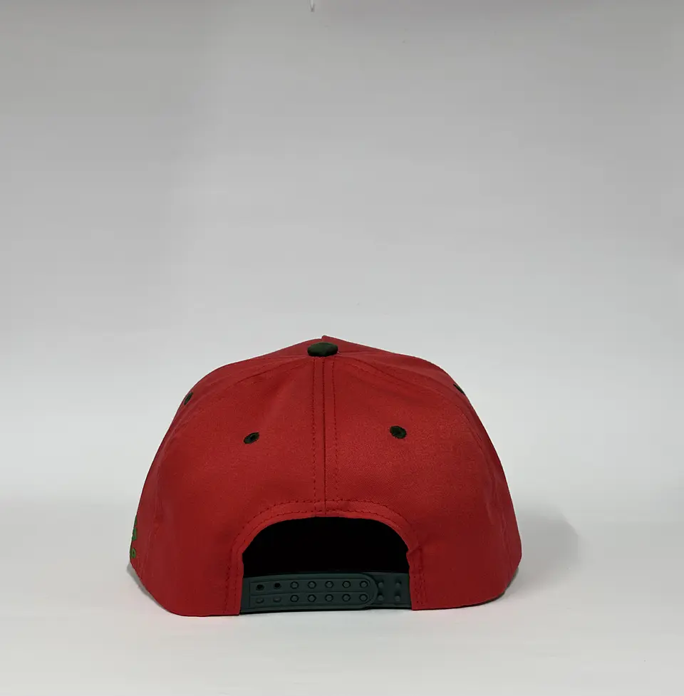 Gorra de lona 5p - Rojo x Verde / Chicago Bull  4