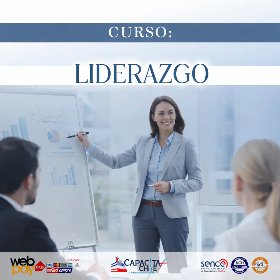 Curso de Liderazgo – Desarrollo de Habilidades para Líderes (Online y Presencial) 1