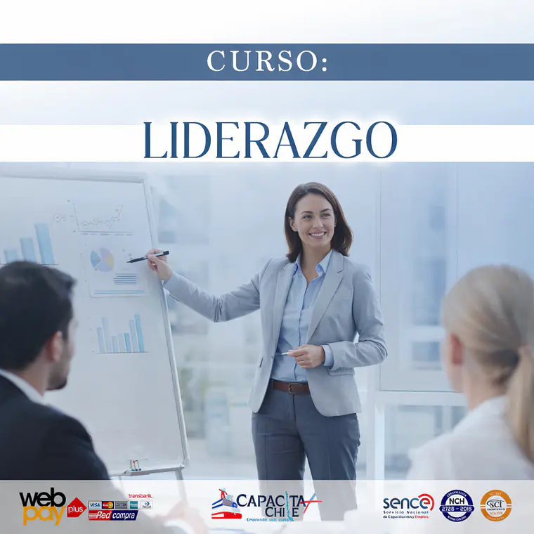 Curso de Liderazgo – Desarrollo de Habilidades para Líderes (Online y Presencial) 1