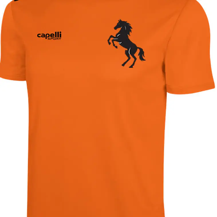 Poleras Personalizadas 3