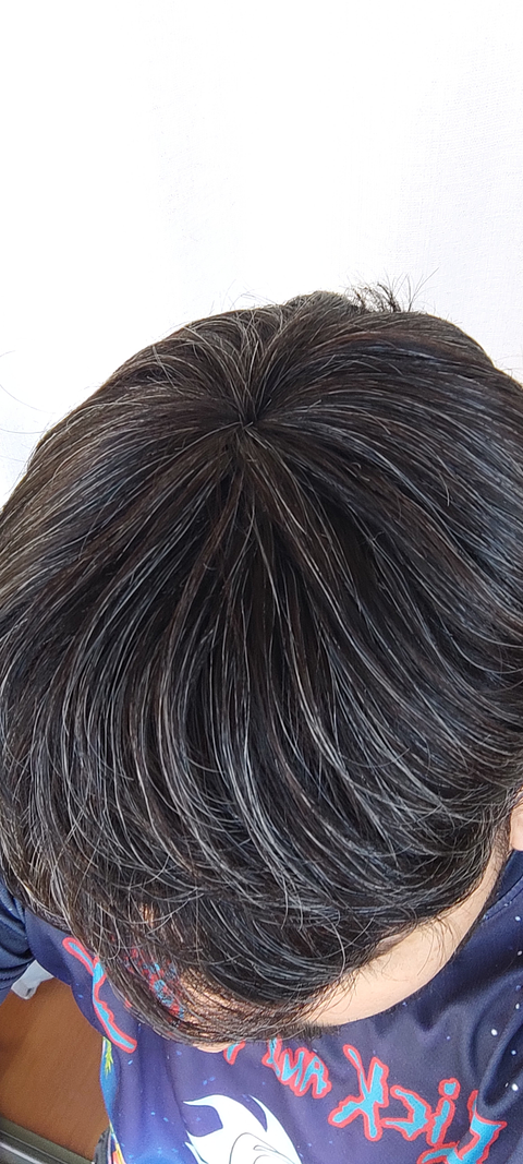 Topper Hombre Castaño Oscuro con Canas