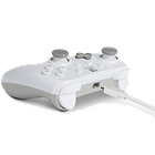 White, Wired Controller 5
