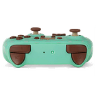 Animal Crossing K.K. Slider, Enhanced Wireless Controller 5