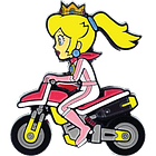 Super Mario Serie 2, Pins 4