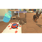 MY UNIVERSE : PUPPIES AND KITTENS 5