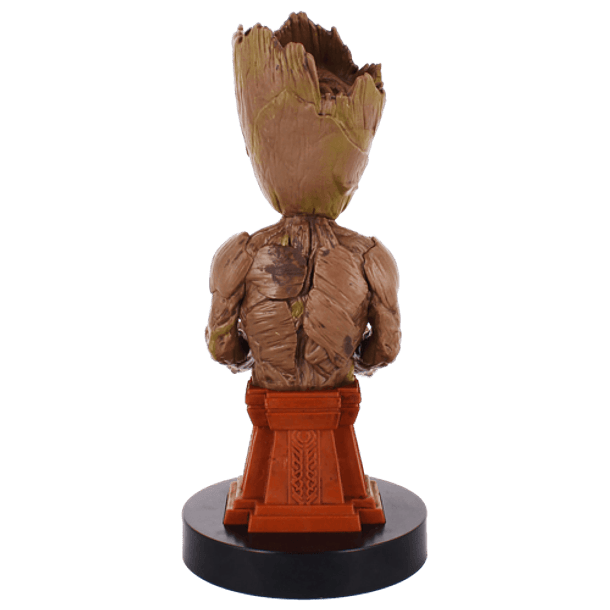 Groot Plinth, Cable Guy 5