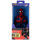 The Amazing Spider-Man, Cable Guy 4