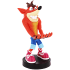 Crash Bandicoot Cable Guy 2