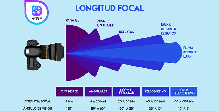 LOGITUD FOCAL