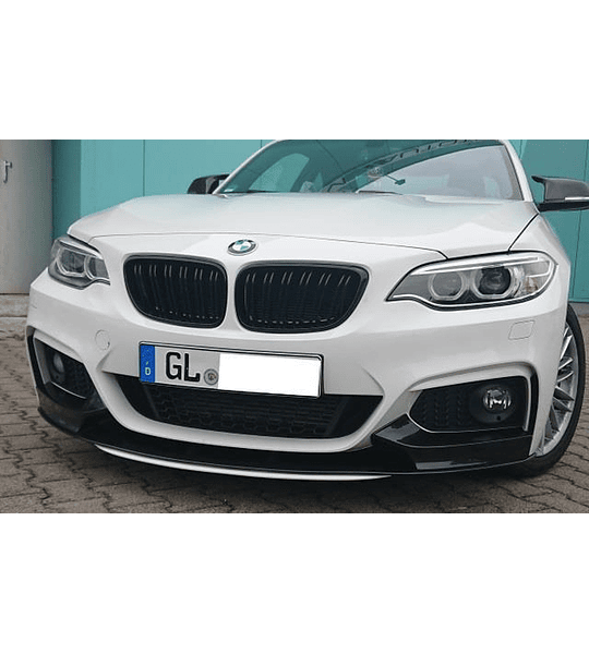 Grelhas BMW Serie 2 F22 Raio duplo