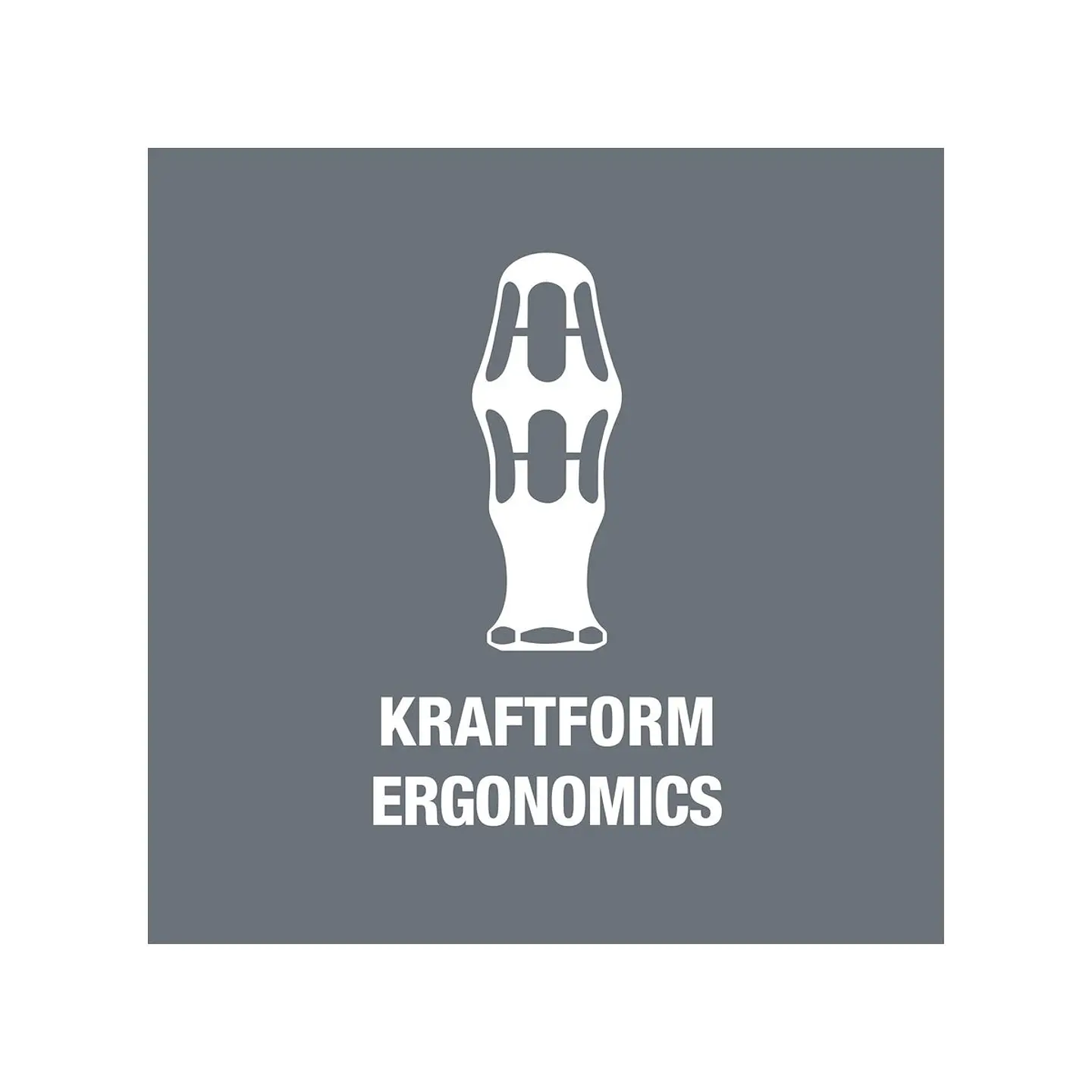 Wera Kraftform Kompakt 60 Tool Finder Juego de Destornillador y Puntas 17 Piezas 10