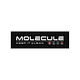 Molecule