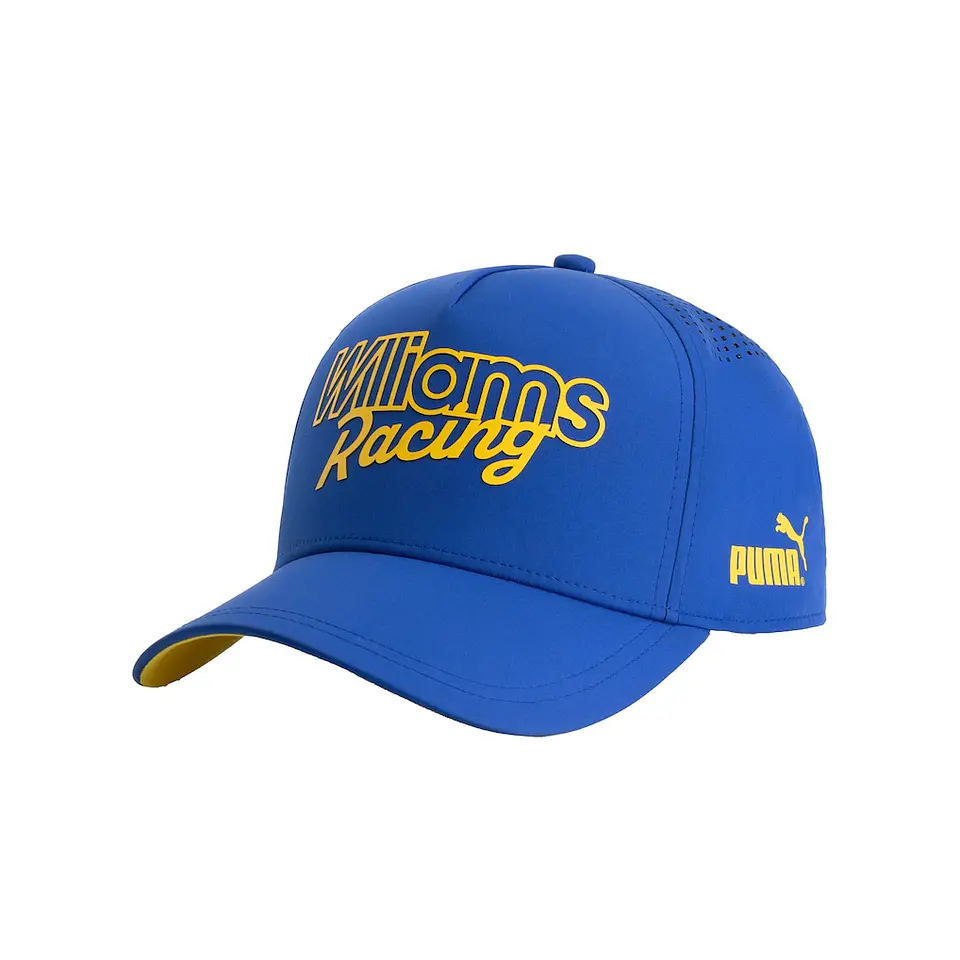 Gorra Pitlane Williams Racing F1 1