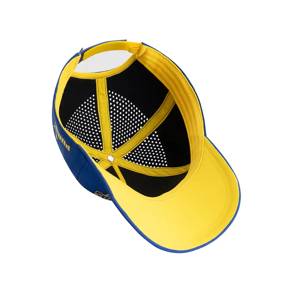 Gorra Pitlane Williams Racing F1 4