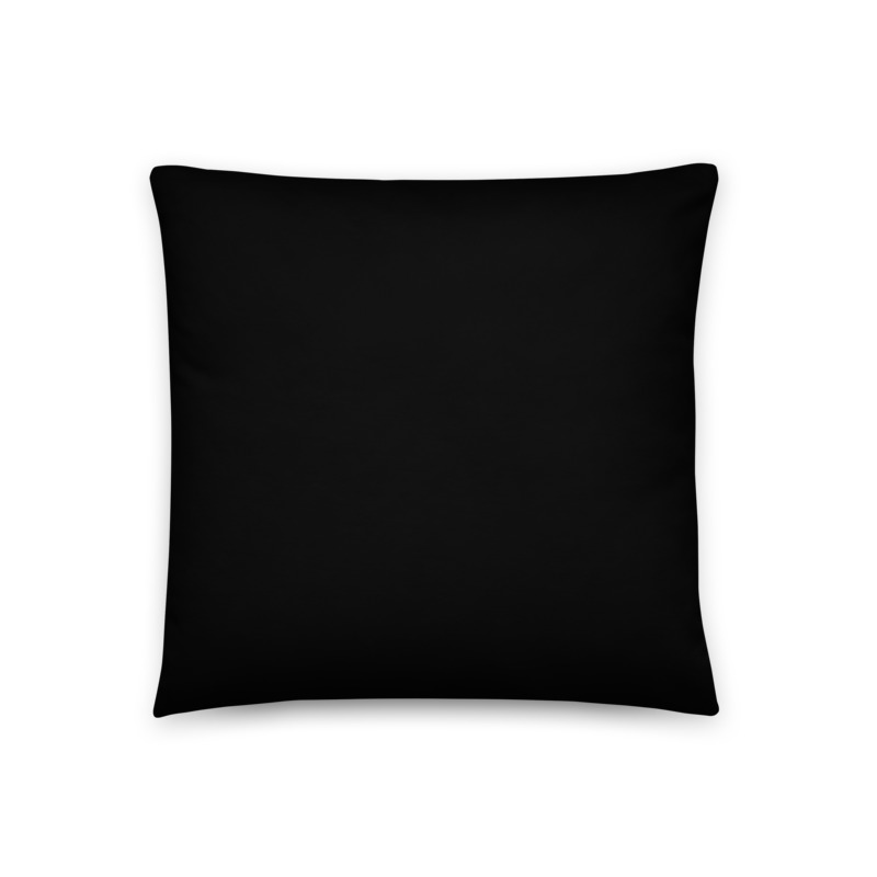 NEGRO (color liso) funda antimanchas 45 x 45 cm cierre invisible  [ en stock ] [ llega 2 · 4 días ]