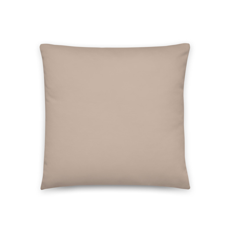 BEIGE  funda antimanchas 45 x 45 cm cierre invisible  [ en stock ] [ llega 7 · 9 días ]