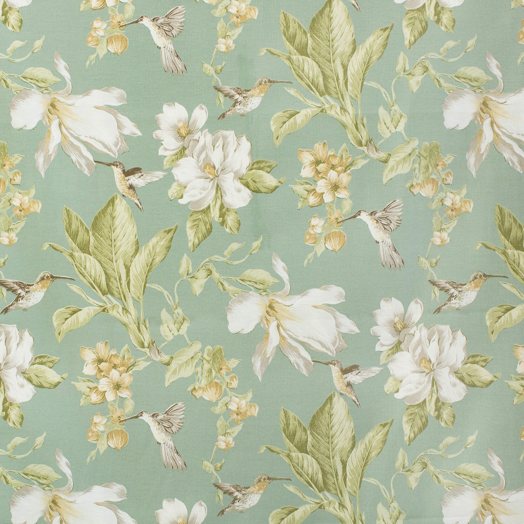 MAGNOLIAS PISTACHO · varios tamaños ·