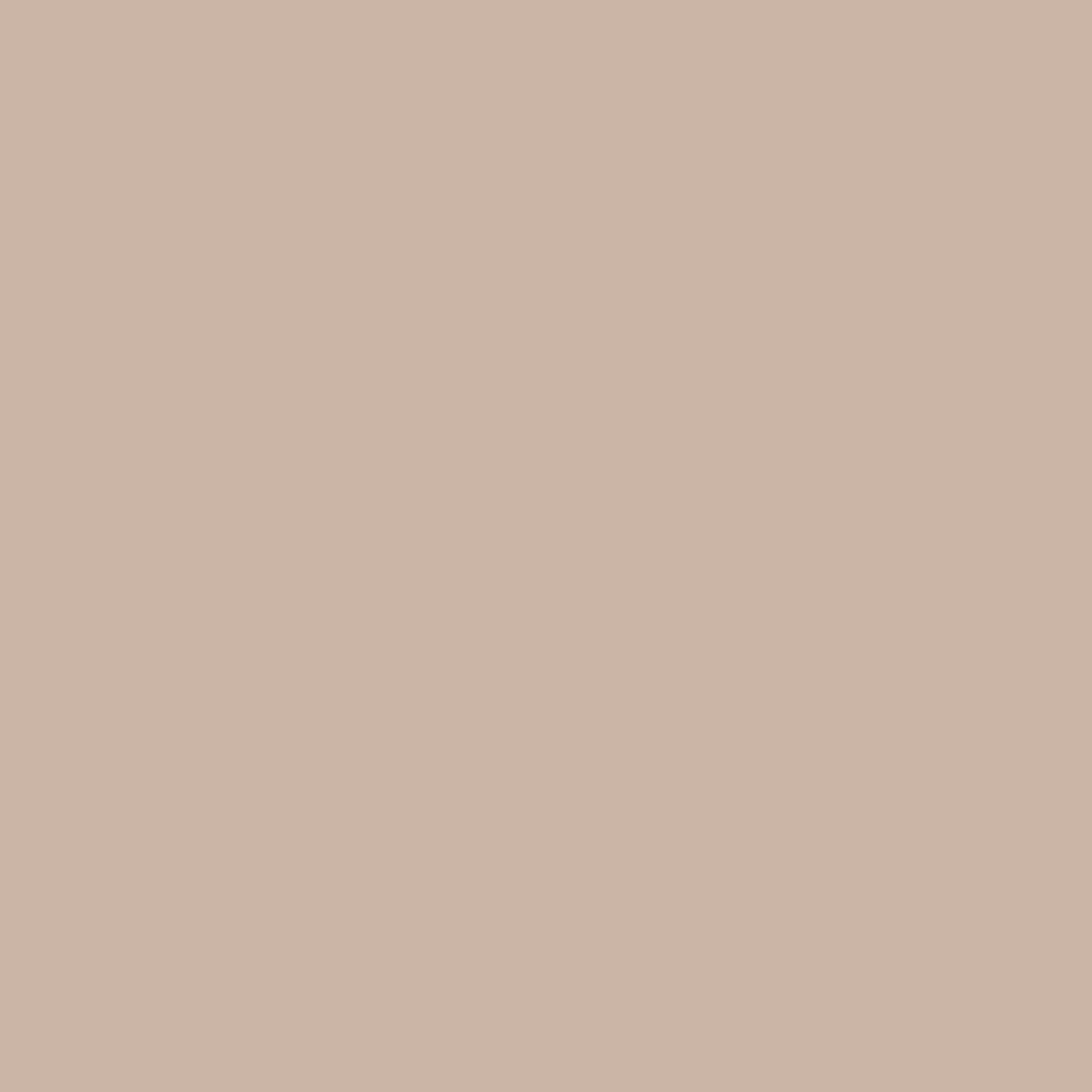   BEIGE   [ color liso ] mantel 1,5 x 2,4 m antimanchas