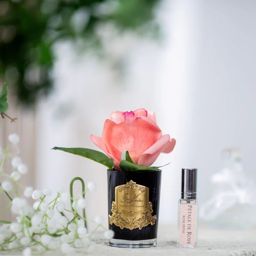 BOTÓN de ROSA · White Peach Toque Sedoso y Perfumado