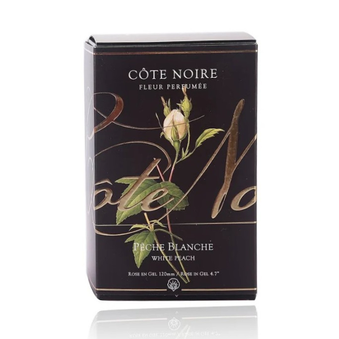 BOTÓN de ROSA · White Peach Toque Sedoso y Perfumado