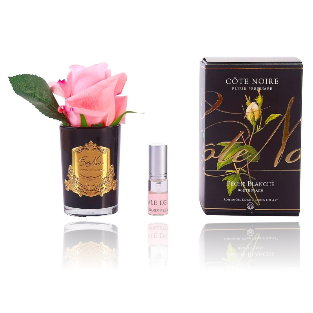 BOTÓN de ROSA · White Peach Toque Sedoso y Perfumado