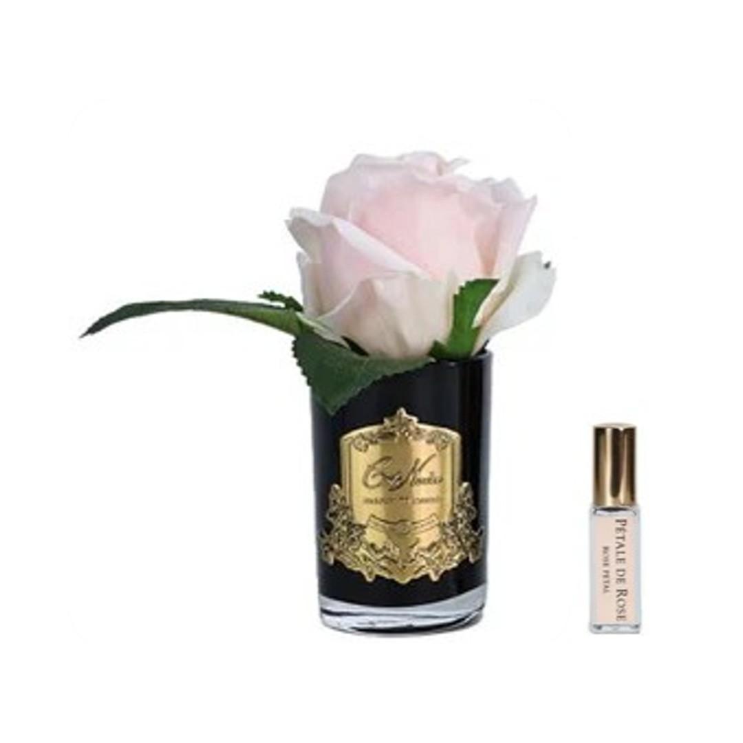 BOTÓN de ROSA Rose Champagne [Champagne Pink]