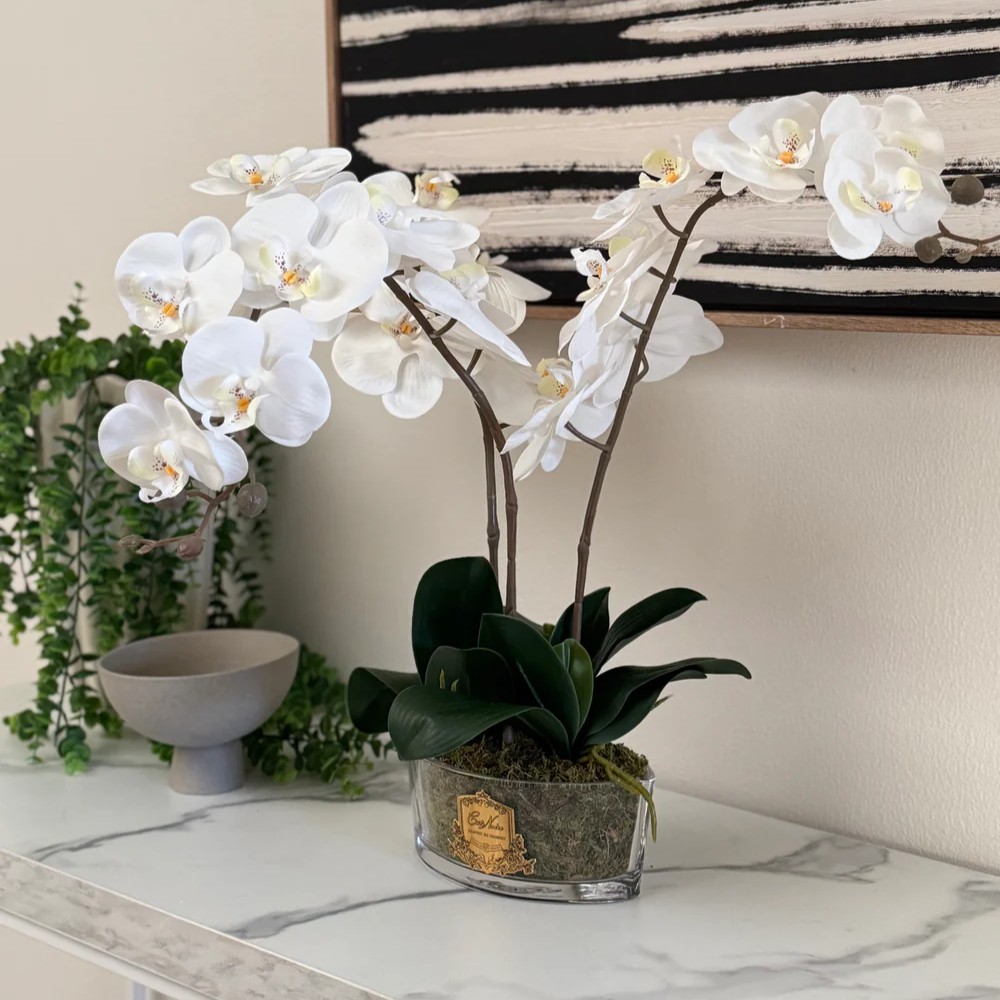 Bouquet 3 Orquídeas  Blanc Ivoire   [   Ivory White   ] 