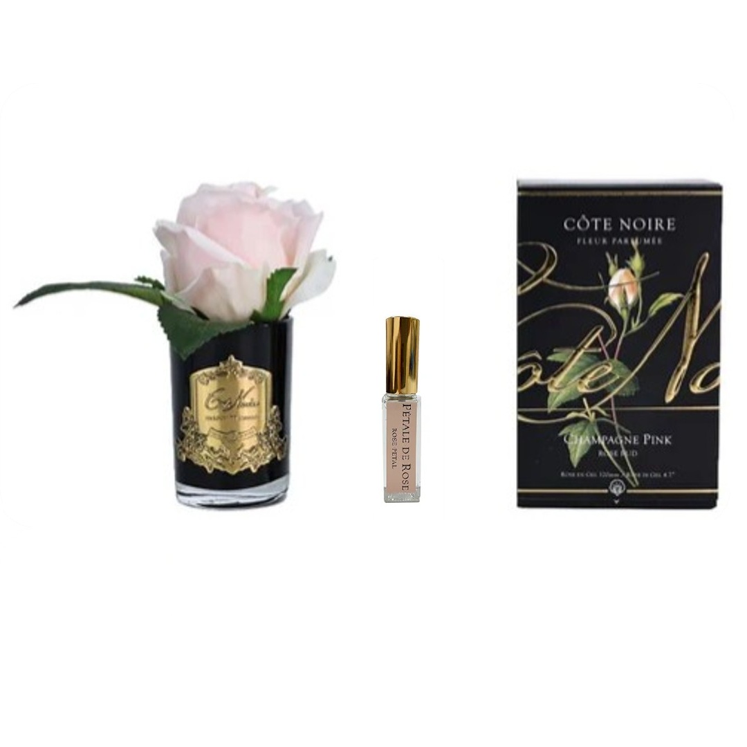 Botón de Rosa Rose Champagne [Champagne Pink]
