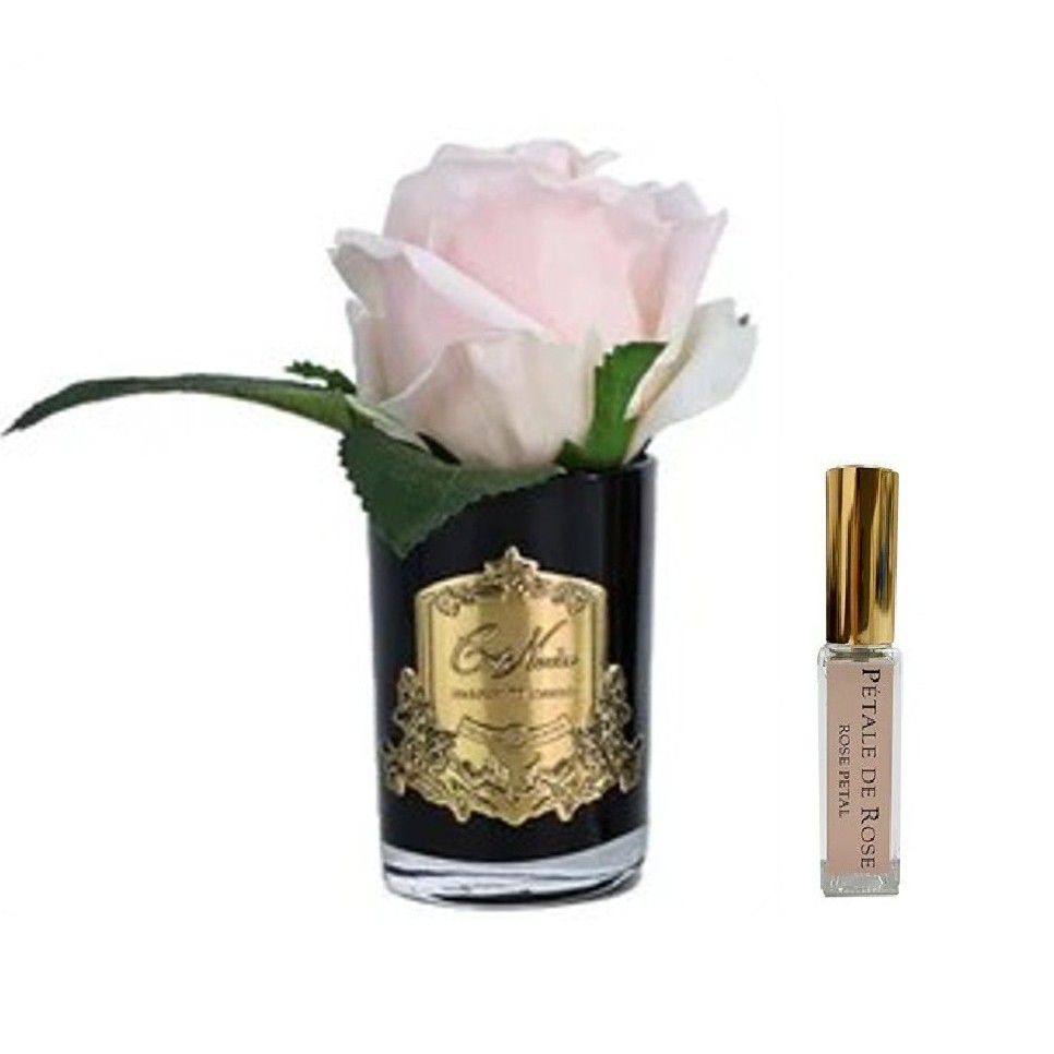 Botón de Rosa Rose Champagne [Champagne Pink]