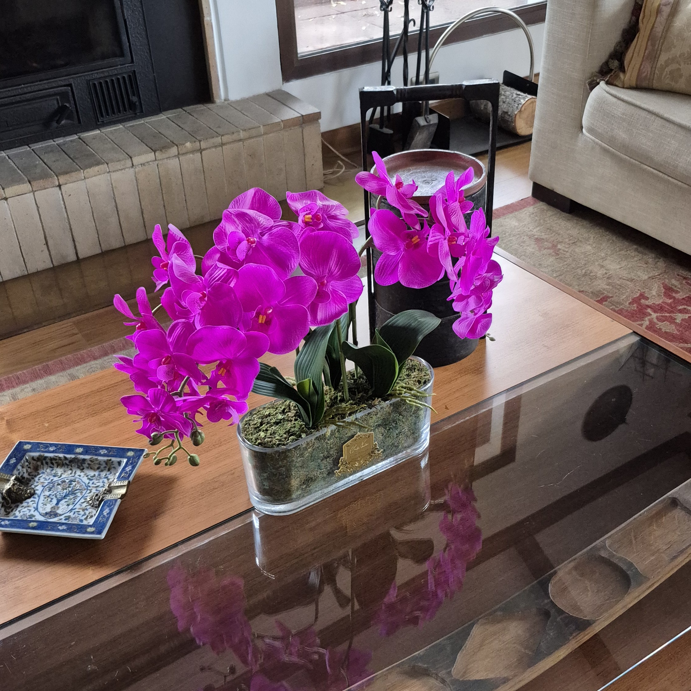 Trío de Orquídeas   macetero oval    [    Fuchsia    ]