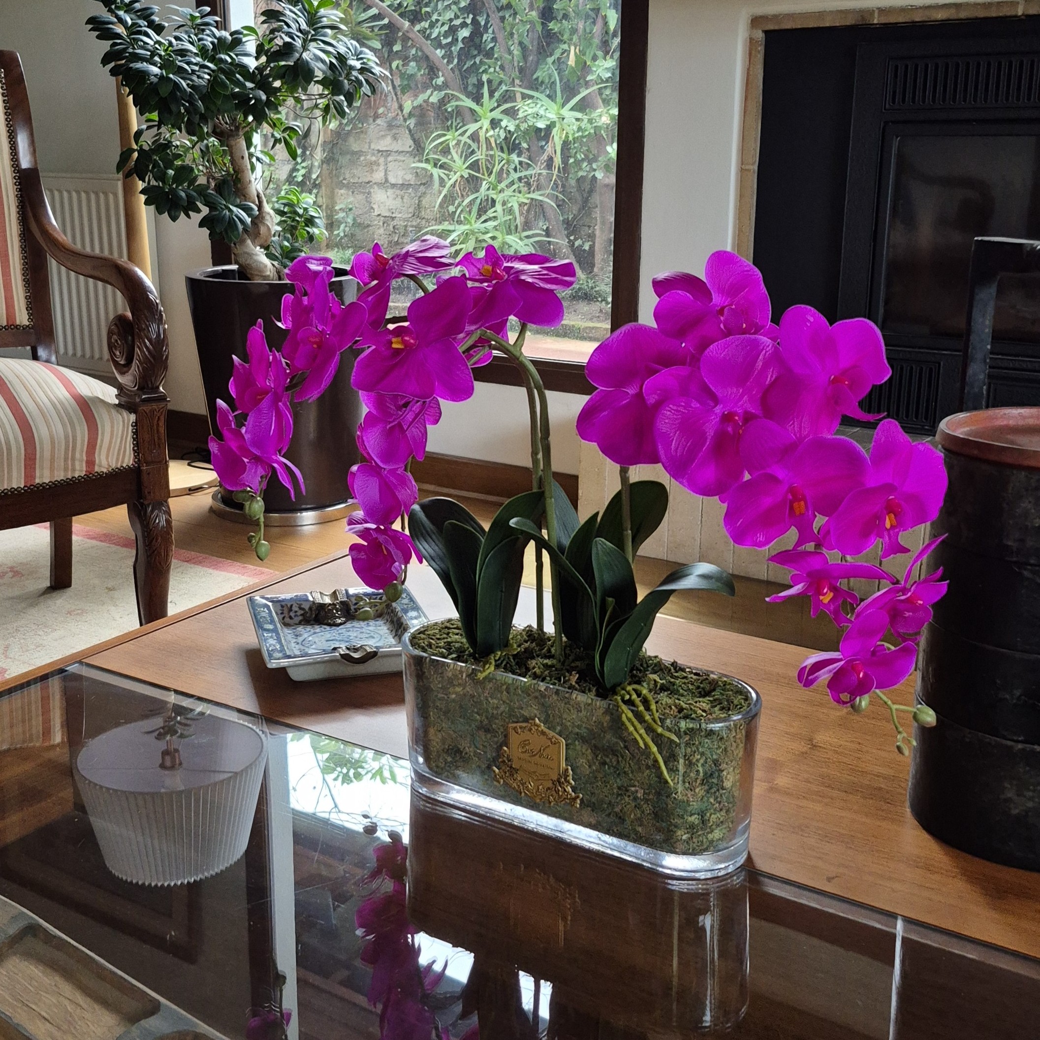 Trío de Orquídeas   macetero oval    [    Fuchsia    ]