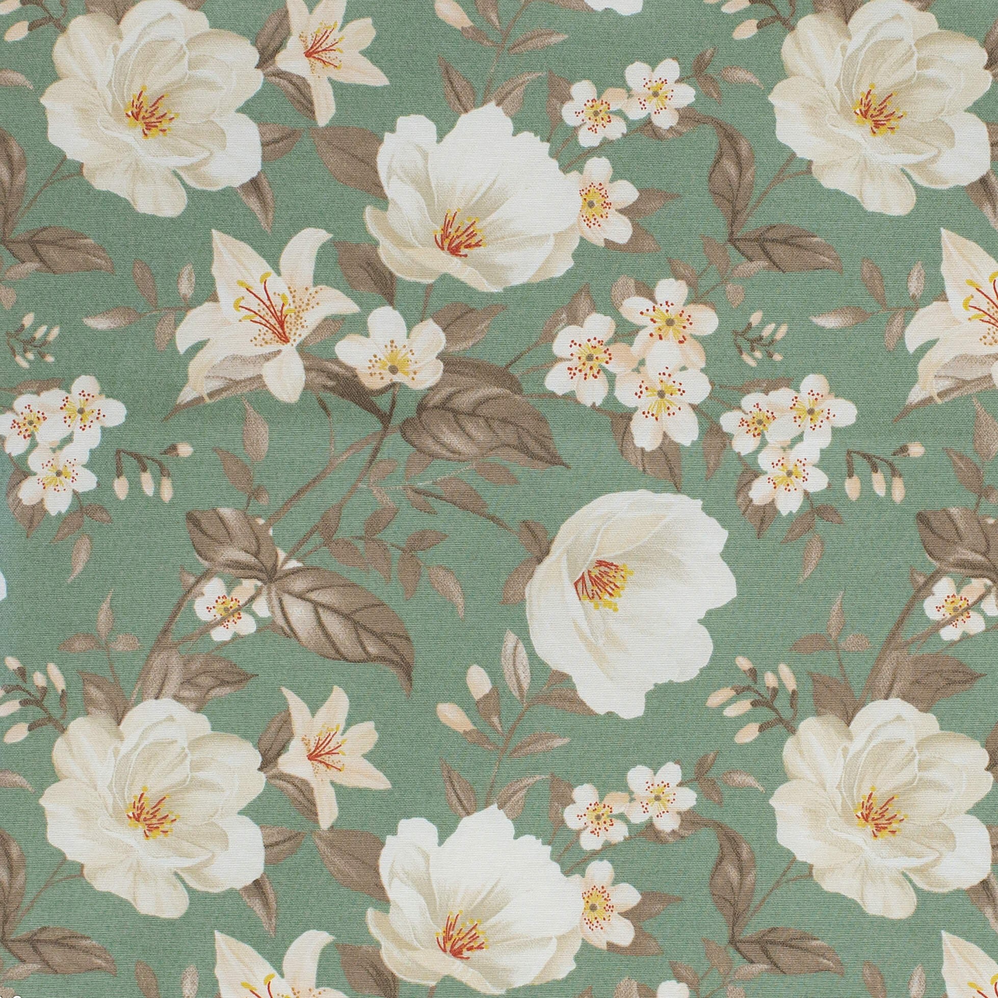 FLORAL pistacho